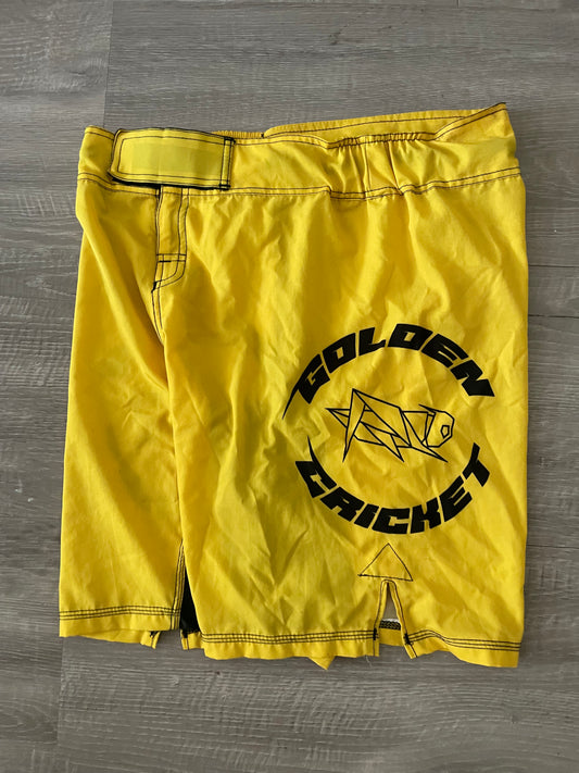 Golden Cricket Grappling Shorts